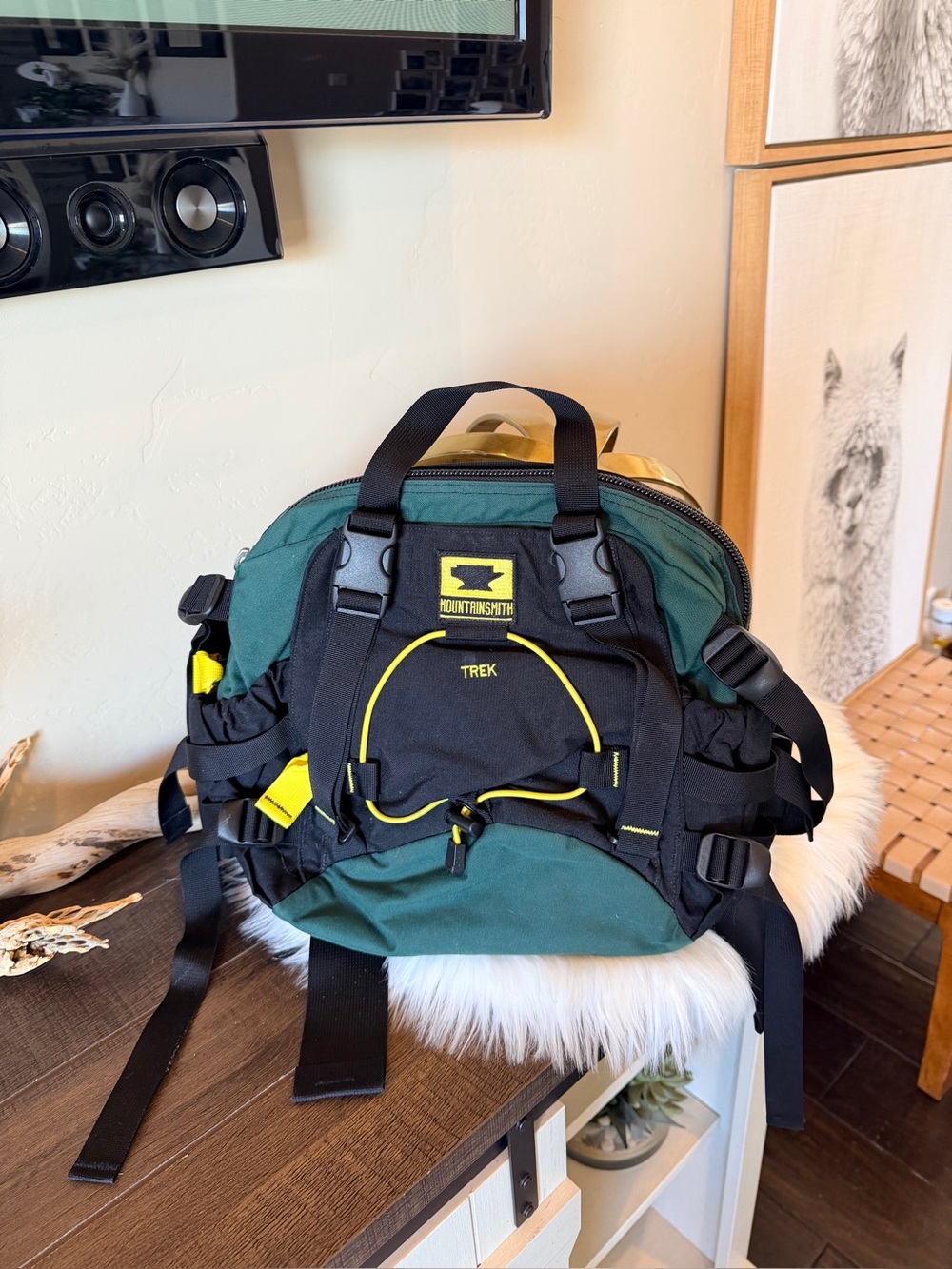 Mountainsmith Trek Lumbar Waist Green Black Fanny Backpack Hiking Utility